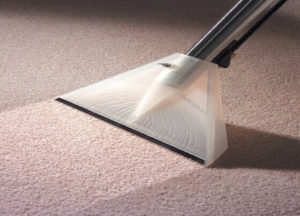 What’s Lurking in Your Carpets & Vacuuming Is Not Enough