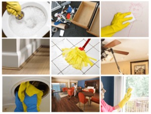 What are Things to be Covered in the Bond Cleaning Services Sunshine Coast?