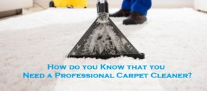 How do you Know that you Need a Professional Carpet Cleaner?